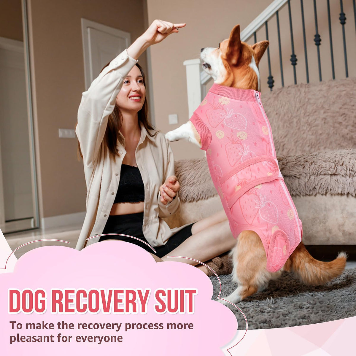 Recovery Suit for Dogs, Female Male Spay Neuter Post Surgery Suit