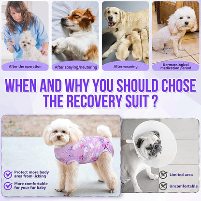 Recovery Suit for Dogs, Female Male Spay Neuter Post Surgery Suit