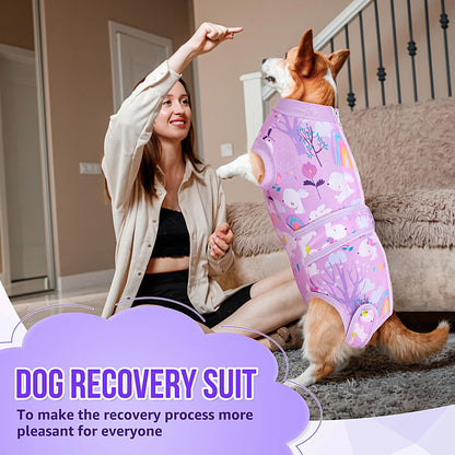 Recovery Suit for Dogs, Female Male Spay Neuter Post Surgery Suit