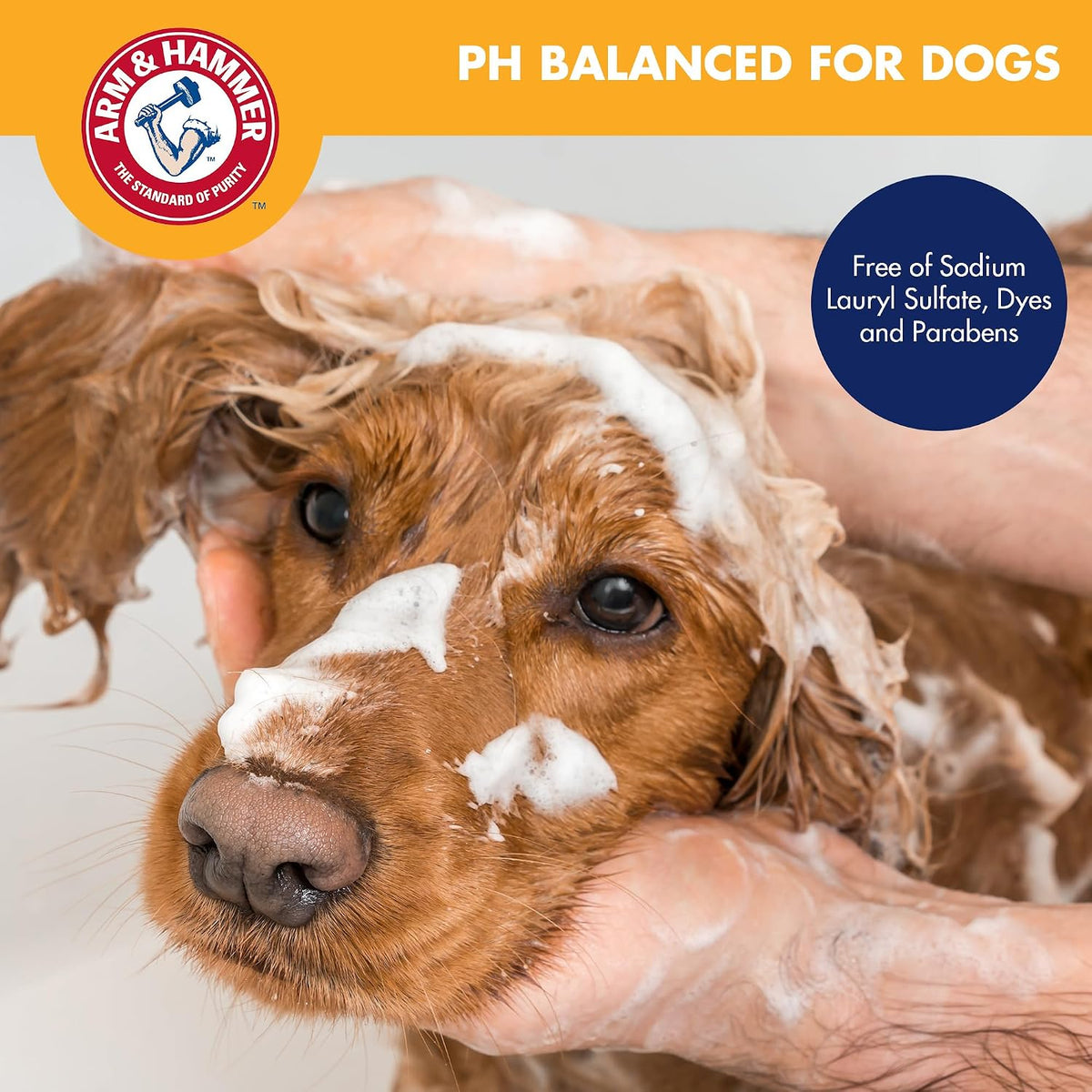 Super Deodorizing Dog Spray, Kiwi Blossom, 8 Fl Oz