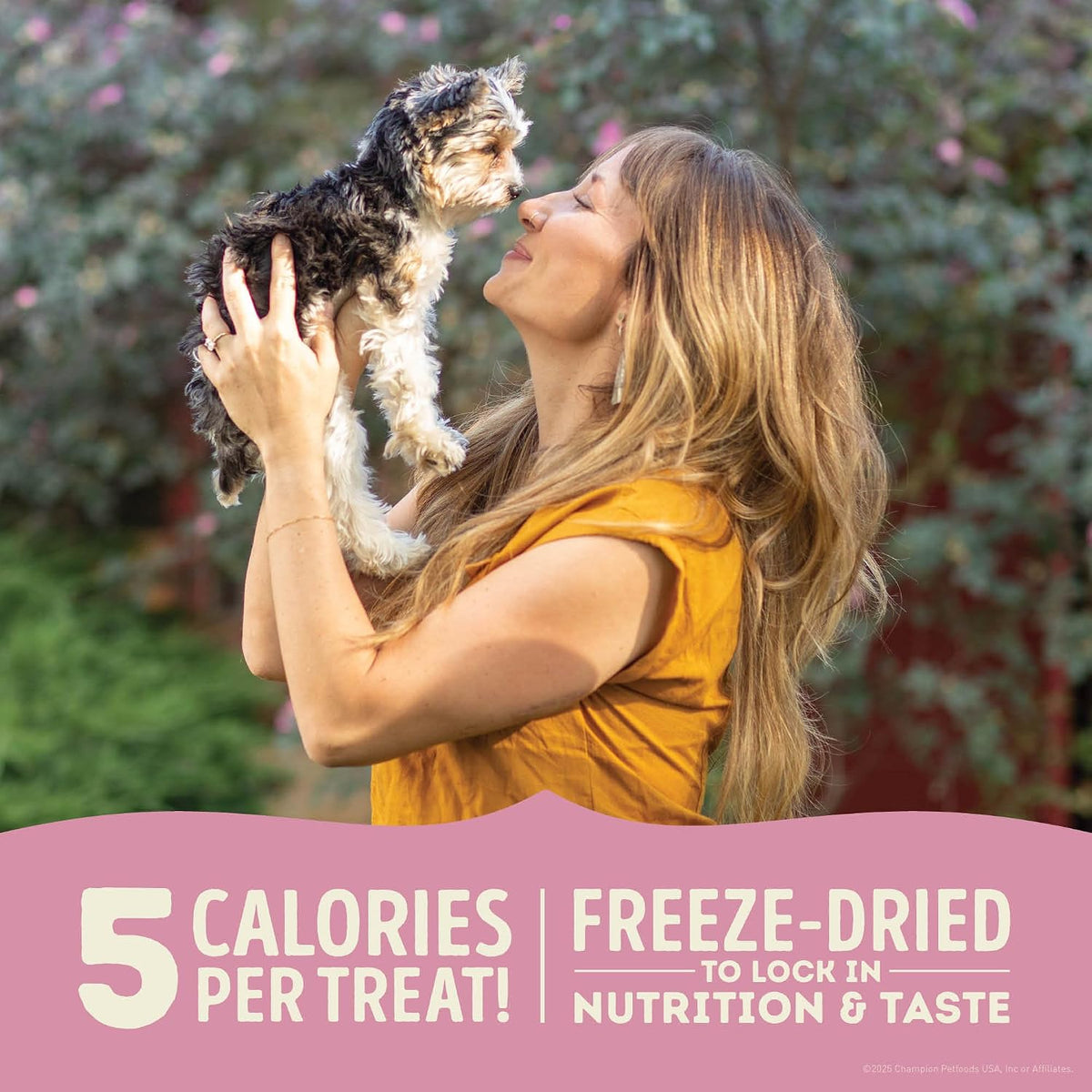 Freeze Dried Dog Treats Limited Ingredient Lamb & Apple 1.25oz Bag