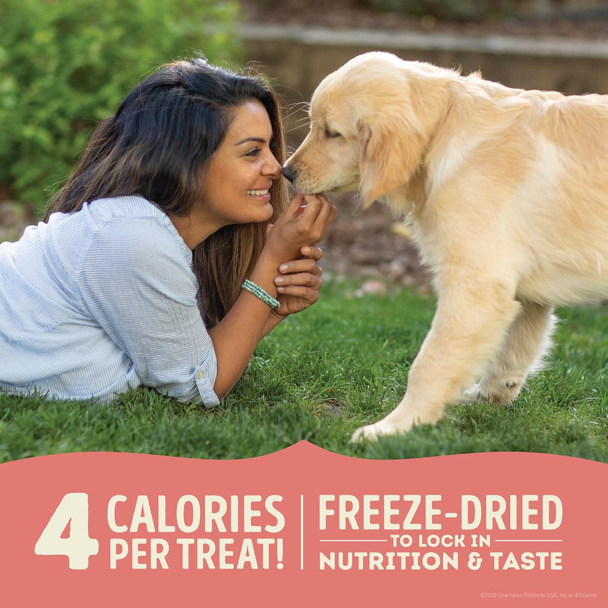 Freeze Dried Dog Treats Limited Ingredient Lamb & Apple 1.25oz Bag