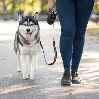 Upgraded Retractable Dog Leash for Large Dogs up to 50kg,8m Reflective Tape