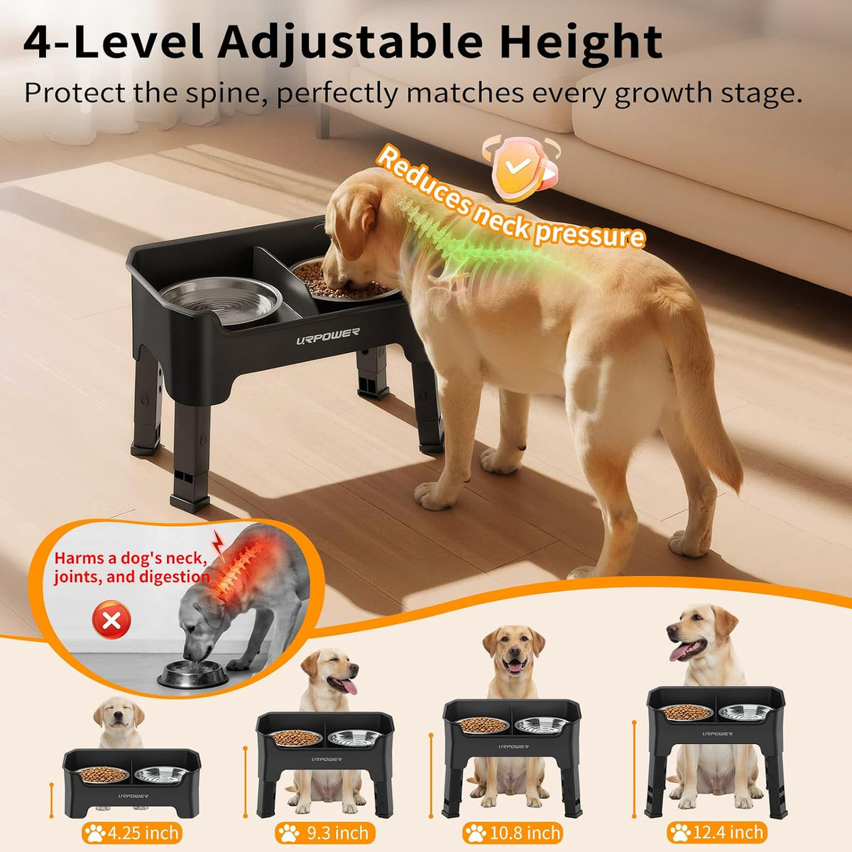 Mess Proof Elevated Dog Bowls, Splash Guard Raised Bowl Stand