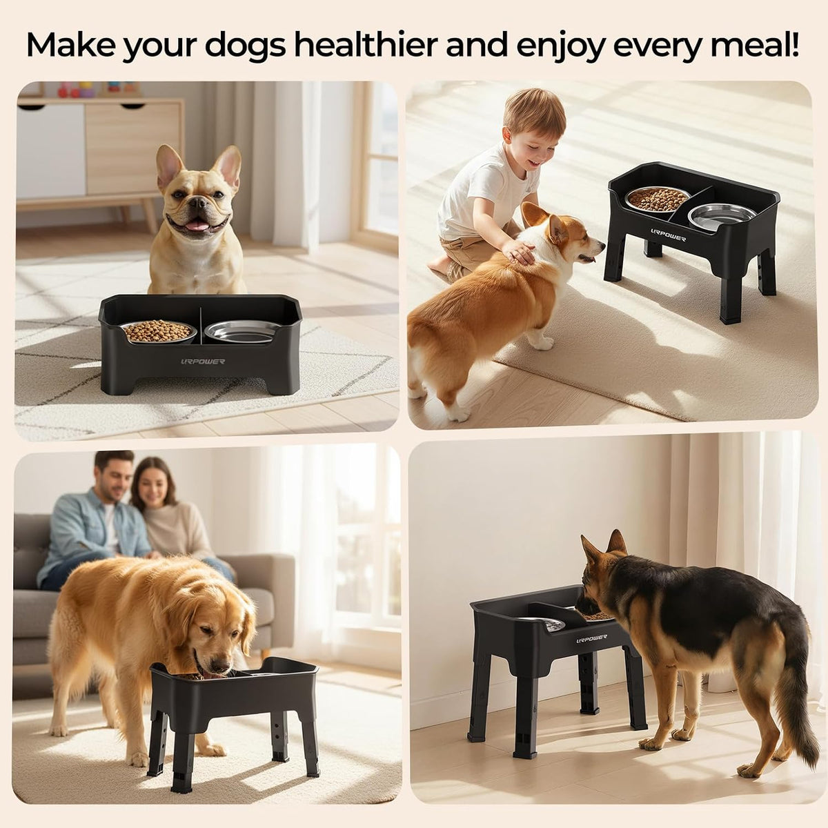 Mess Proof Elevated Dog Bowls, Splash Guard Raised Bowl Stand