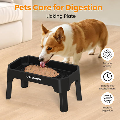 Mess Proof Elevated Dog Bowls, Splash Guard Raised Bowl Stand