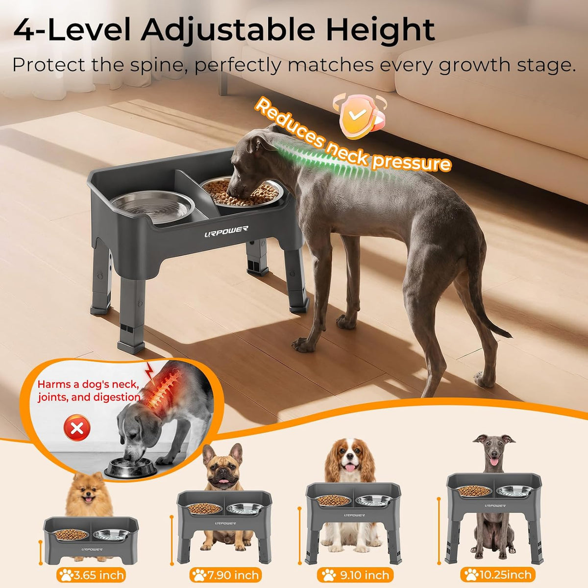 Mess Proof Elevated Dog Bowls, Splash Guard Raised Bowl Stand