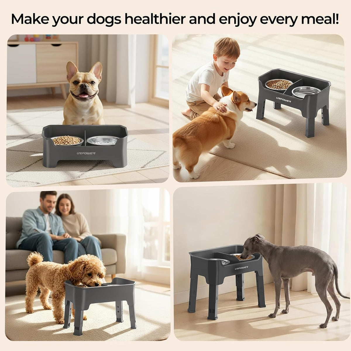 Mess Proof Elevated Dog Bowls, Splash Guard Raised Bowl Stand