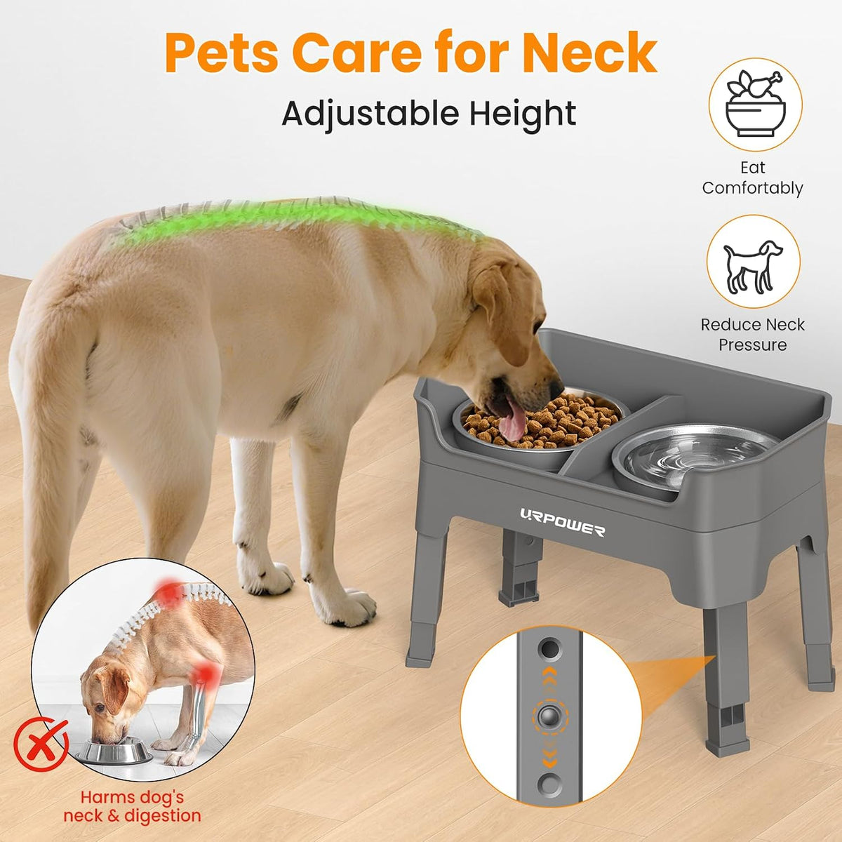 Mess Proof Elevated Dog Bowls, Splash Guard Raised Bowl Stand