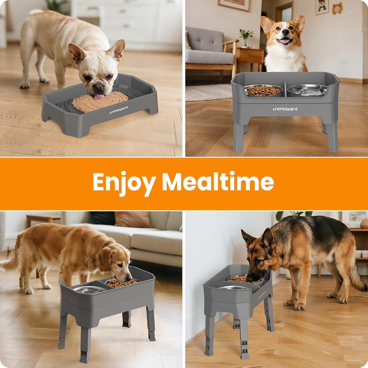 Mess Proof Elevated Dog Bowls, Splash Guard Raised Bowl Stand