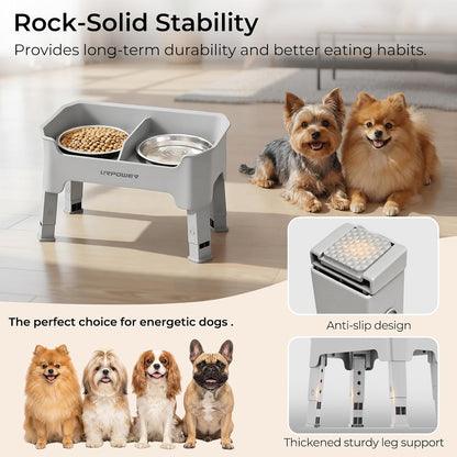 Mess Proof Elevated Dog Bowls, Splash Guard Raised Bowl Stand
