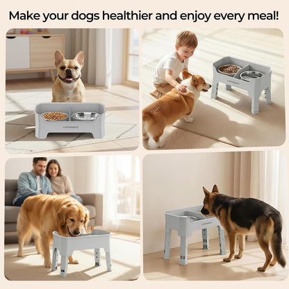 Mess Proof Elevated Dog Bowls, Splash Guard Raised Bowl Stand