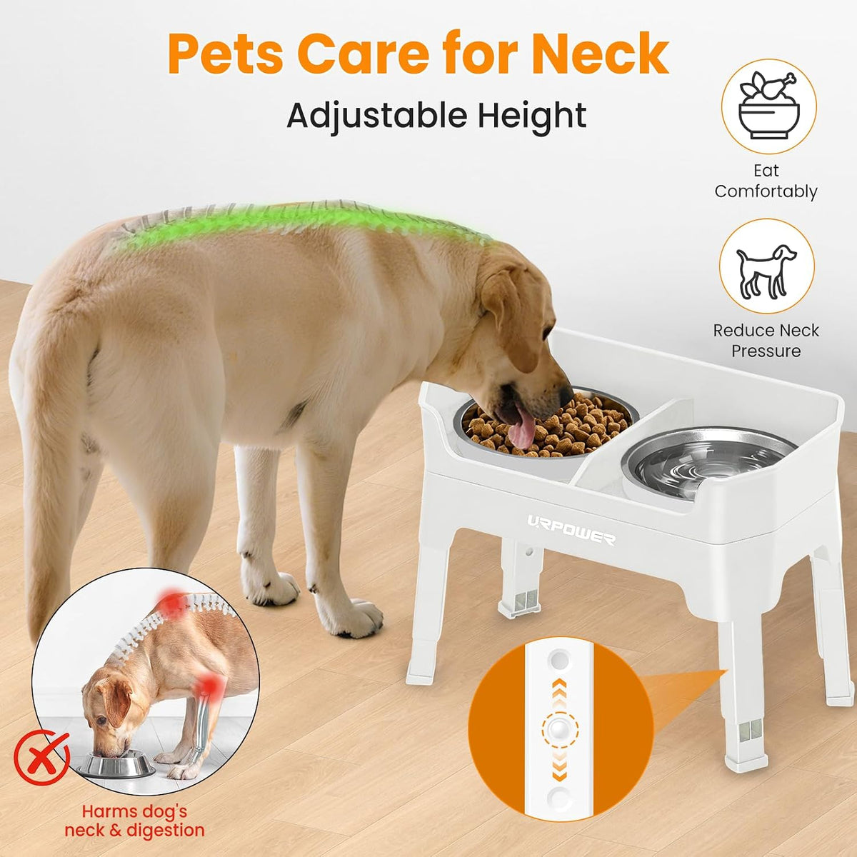 Mess Proof Elevated Dog Bowls, Splash Guard Raised Bowl Stand