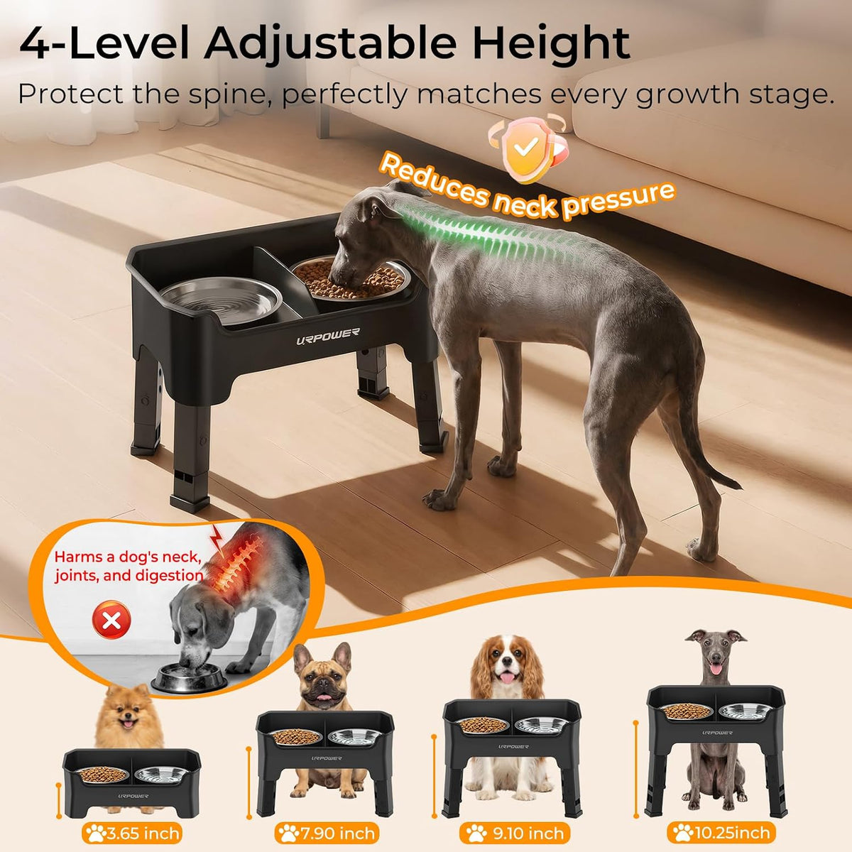 Mess Proof Elevated Dog Bowls, Splash Guard Raised Bowl Stand