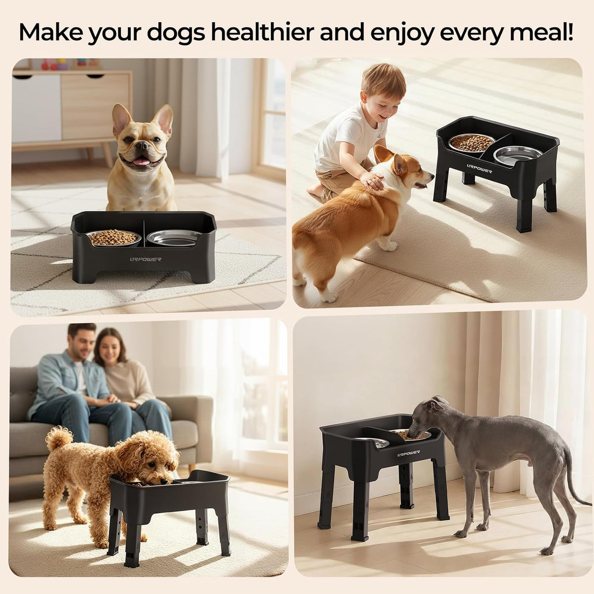 Mess Proof Elevated Dog Bowls, Splash Guard Raised Bowl Stand