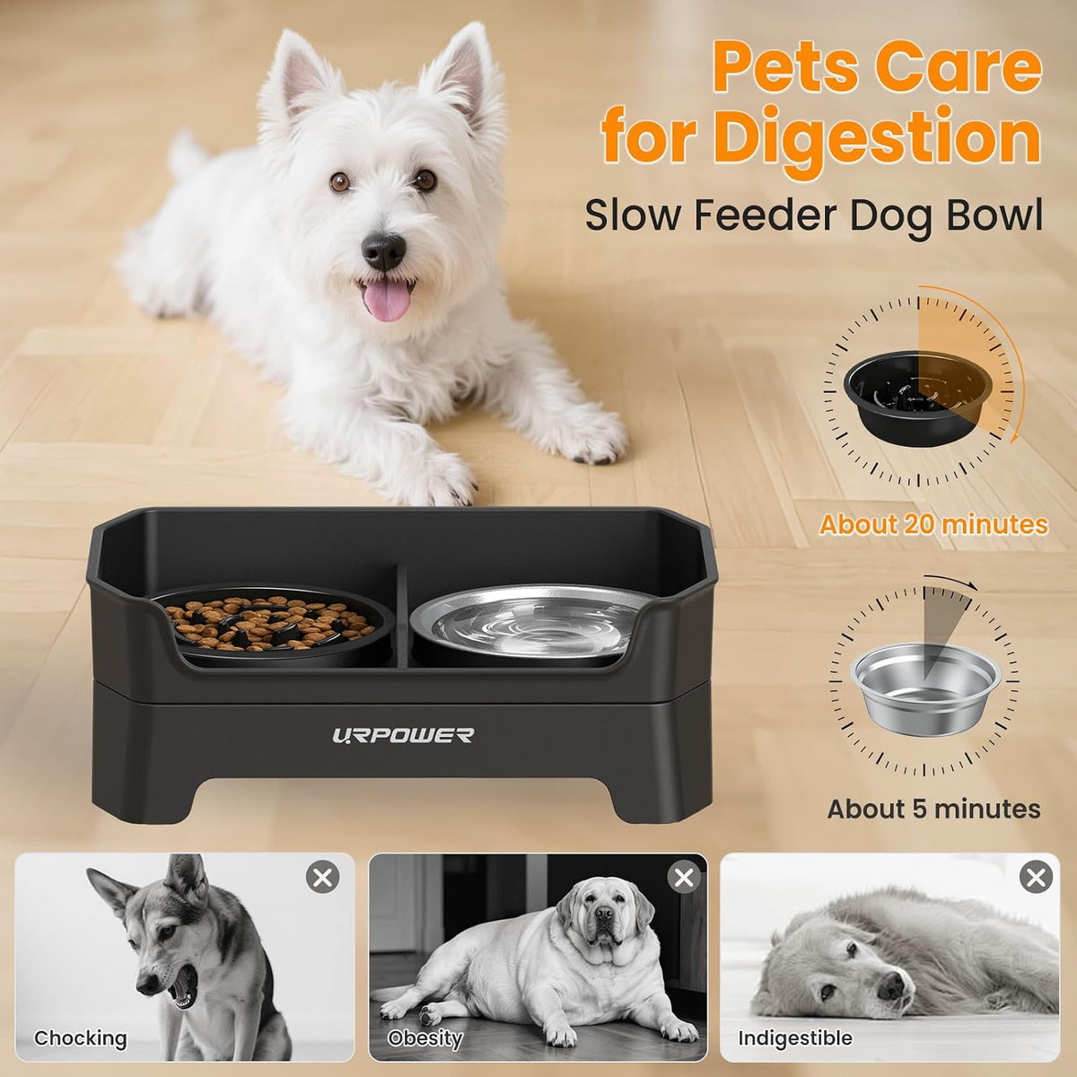 Mess Proof Elevated Dog Bowls, Splash Guard Raised Bowl Stand
