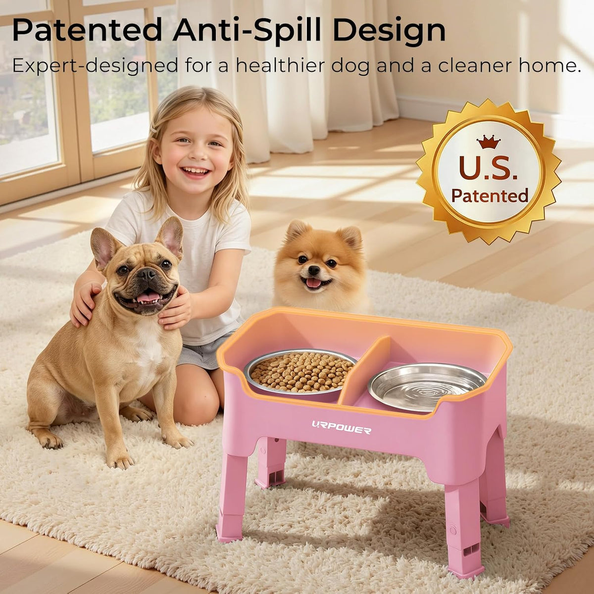 Mess Proof Elevated Dog Bowls, Splash Guard Raised Bowl Stand