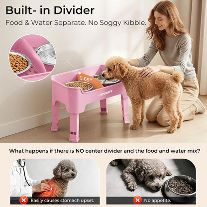 Mess Proof Elevated Dog Bowls, Splash Guard Raised Bowl Stand