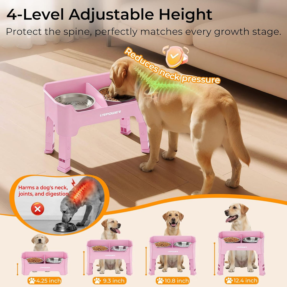 Mess Proof Elevated Dog Bowls, Splash Guard Raised Bowl Stand