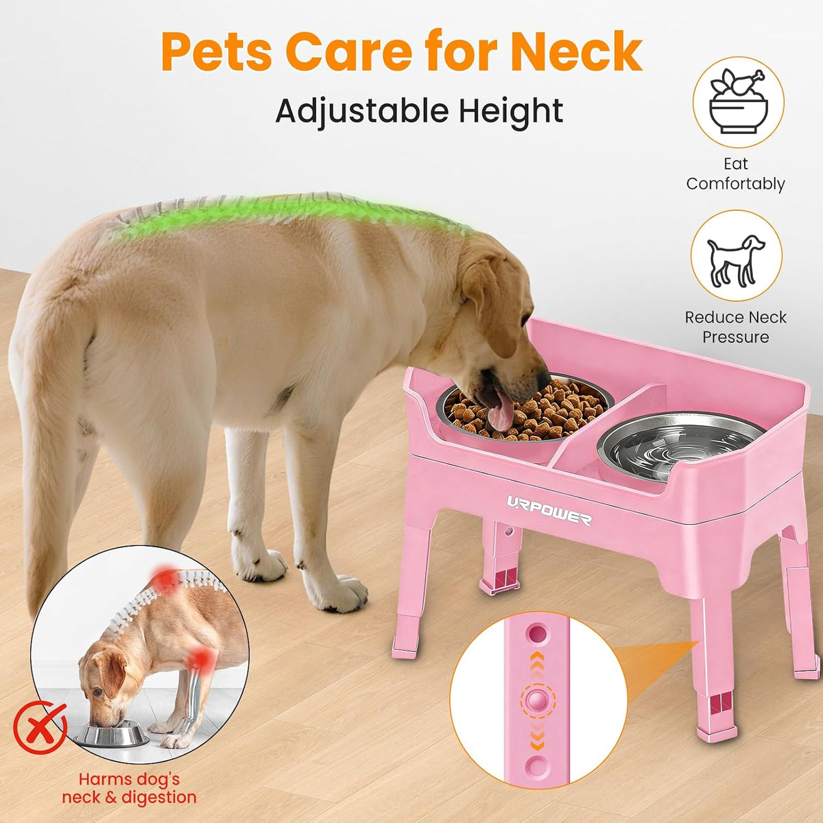 Mess Proof Elevated Dog Bowls, Splash Guard Raised Bowl Stand