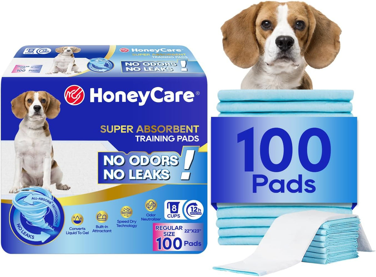 All-Absorb, X-Large 28" x 34", 40 Count, Dog and Puppy Training Pads, Ultra Absorbent and Odor Eliminating, Leak-Proof 5-Layer Potty Training Pads with Quick-Dry Surface, Blue