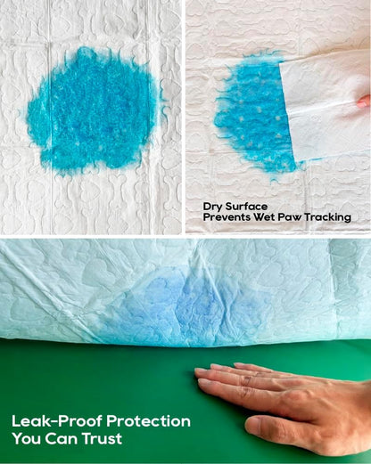 All-Absorb, X-Large 28" x 34", 40 Count, Dog and Puppy Training Pads, Ultra Absorbent and Odor Eliminating, Leak-Proof 5-Layer Potty Training Pads with Quick-Dry Surface, Blue