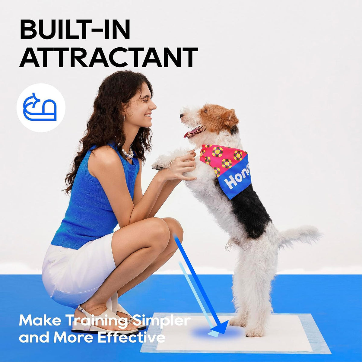 All-Absorb, X-Large 28" x 34", 40 Count, Dog and Puppy Training Pads, Ultra Absorbent and Odor Eliminating, Leak-Proof 5-Layer Potty Training Pads with Quick-Dry Surface, Blue