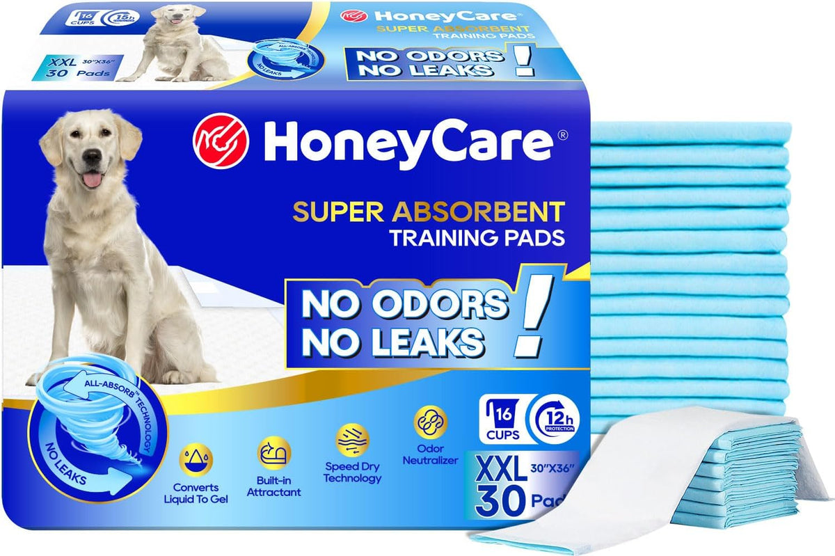 All-Absorb, X-Large 28" x 34", 40 Count, Dog and Puppy Training Pads, Ultra Absorbent and Odor Eliminating, Leak-Proof 5-Layer Potty Training Pads with Quick-Dry Surface, Blue