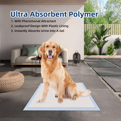 All-Absorb, X-Large 28" x 34", 40 Count, Dog and Puppy Training Pads, Ultra Absorbent and Odor Eliminating, Leak-Proof 5-Layer Potty Training Pads with Quick-Dry Surface, Blue