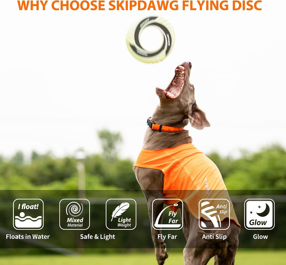 Interactive Tug Toy, Flying Disc Water Toy Non-Toxic Light TPR/Nylon Fabric, Pet Training and Outdoor Exercise Toys for Dogs, Diameter 9 Inches