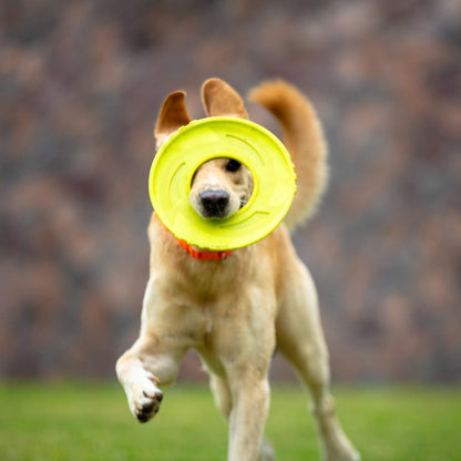 Interactive Tug Toy, Flying Disc Water Toy Non-Toxic Light TPR/Nylon Fabric, Pet Training and Outdoor Exercise Toys for Dogs, Diameter 9 Inches