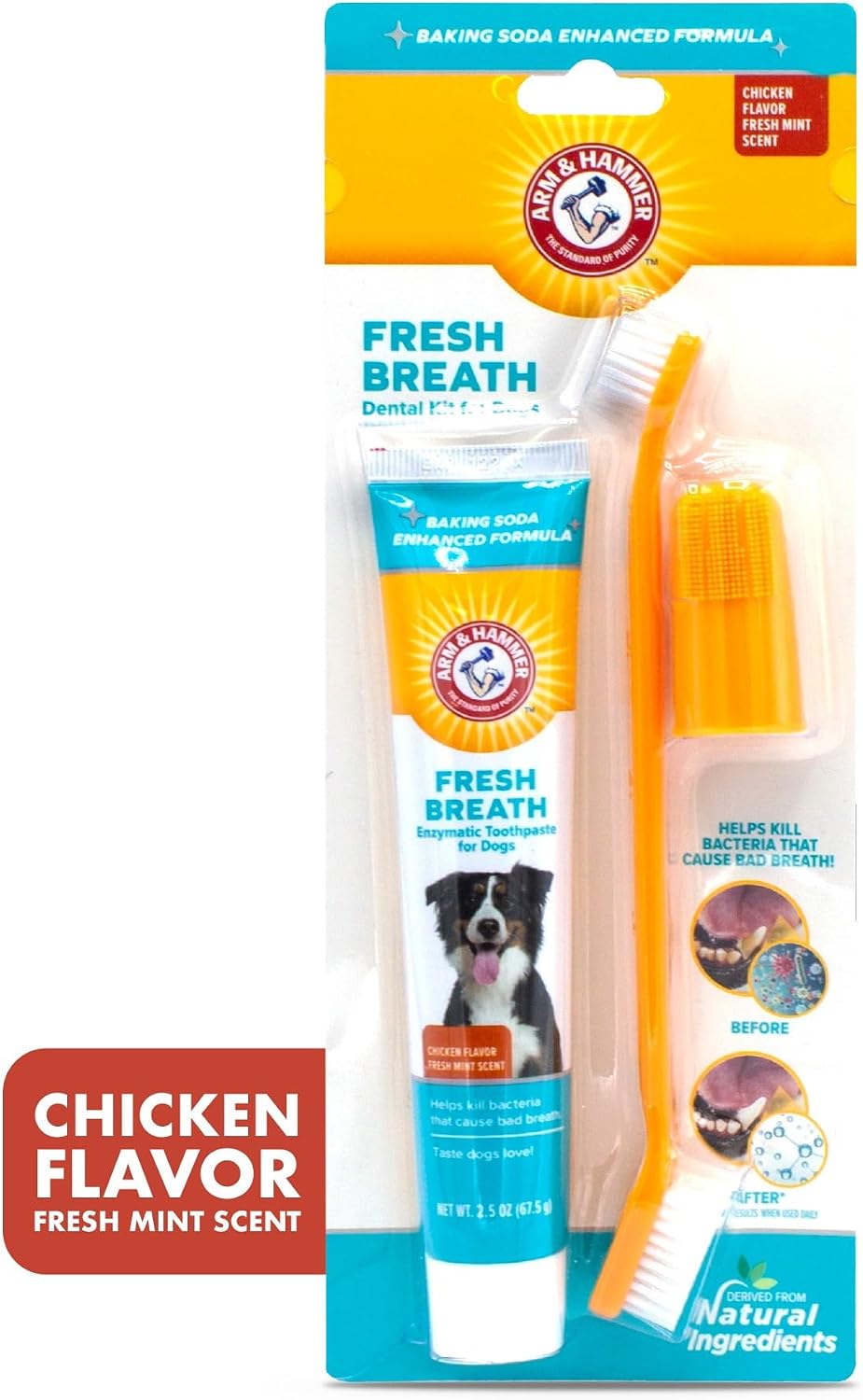 Fresh Breath Dog Dental Kit, Vanilla Ginger, 2.5 Oz, 3 Piece