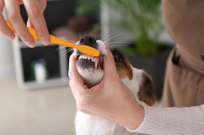 Fresh Breath Dog Dental Kit, Vanilla Ginger, 2.5 Oz, 3 Piece