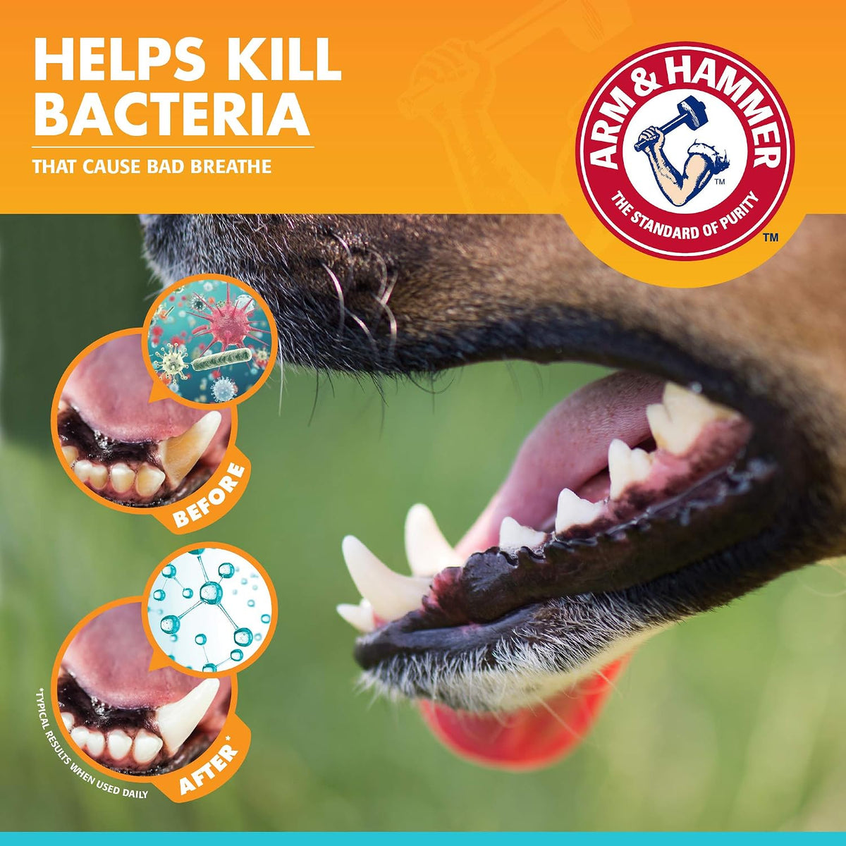Fresh Breath Dog Dental Kit, Vanilla Ginger, 2.5 Oz, 3 Piece