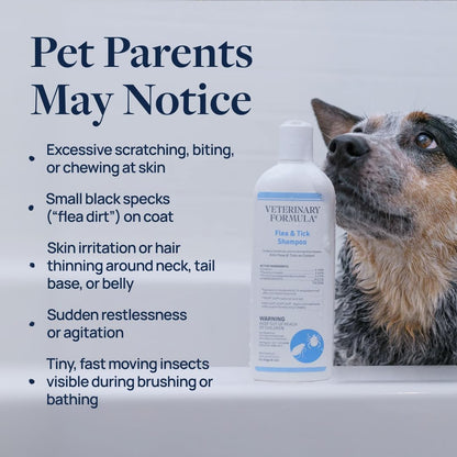 Flea and Tick Shampoo for Dogs and Cats, 16 oz