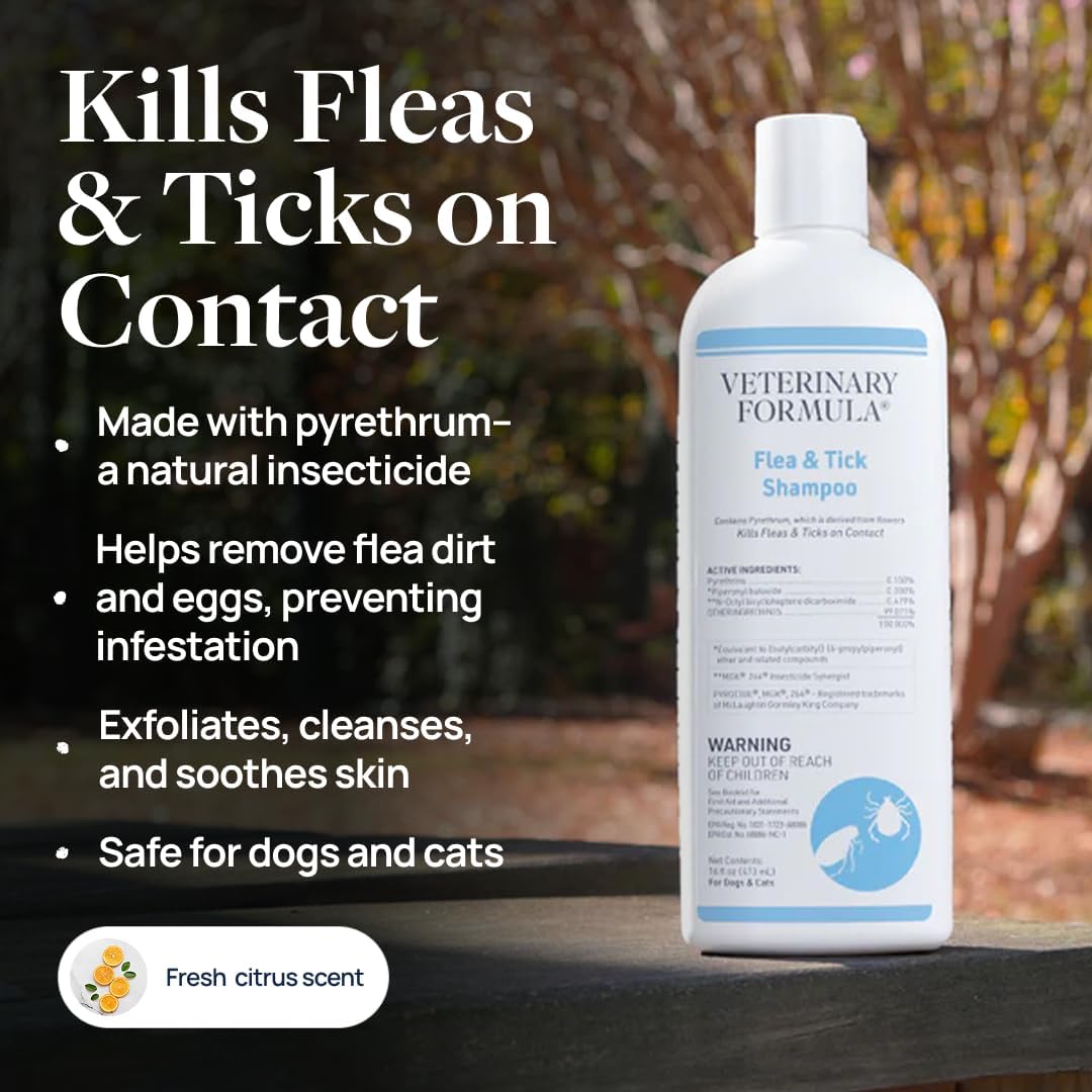 Flea and Tick Shampoo for Dogs and Cats, 16 oz