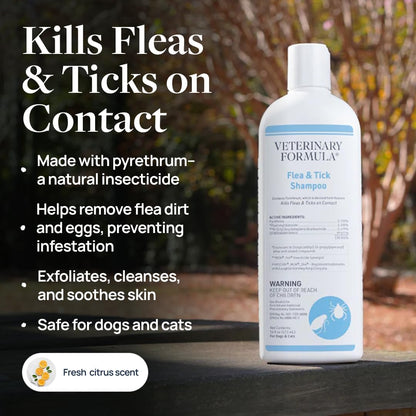 Flea and Tick Shampoo for Dogs and Cats, 16 oz