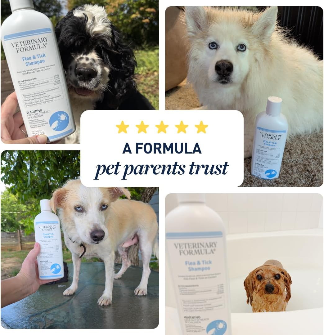 Flea and Tick Shampoo for Dogs and Cats, 16 oz