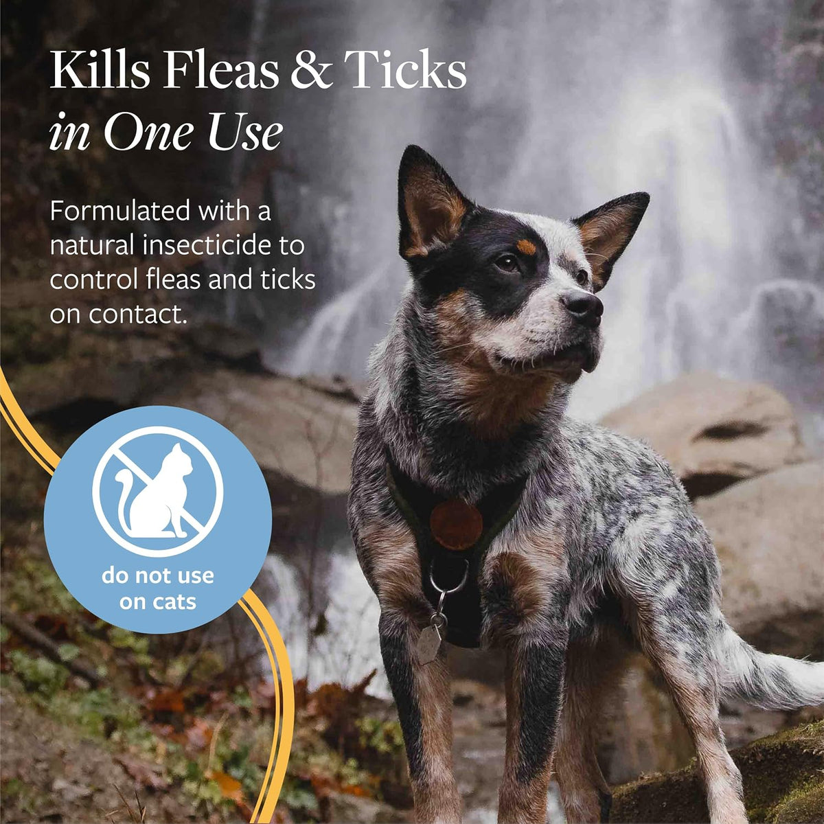 Flea and Tick Shampoo for Dogs and Cats, 16 oz