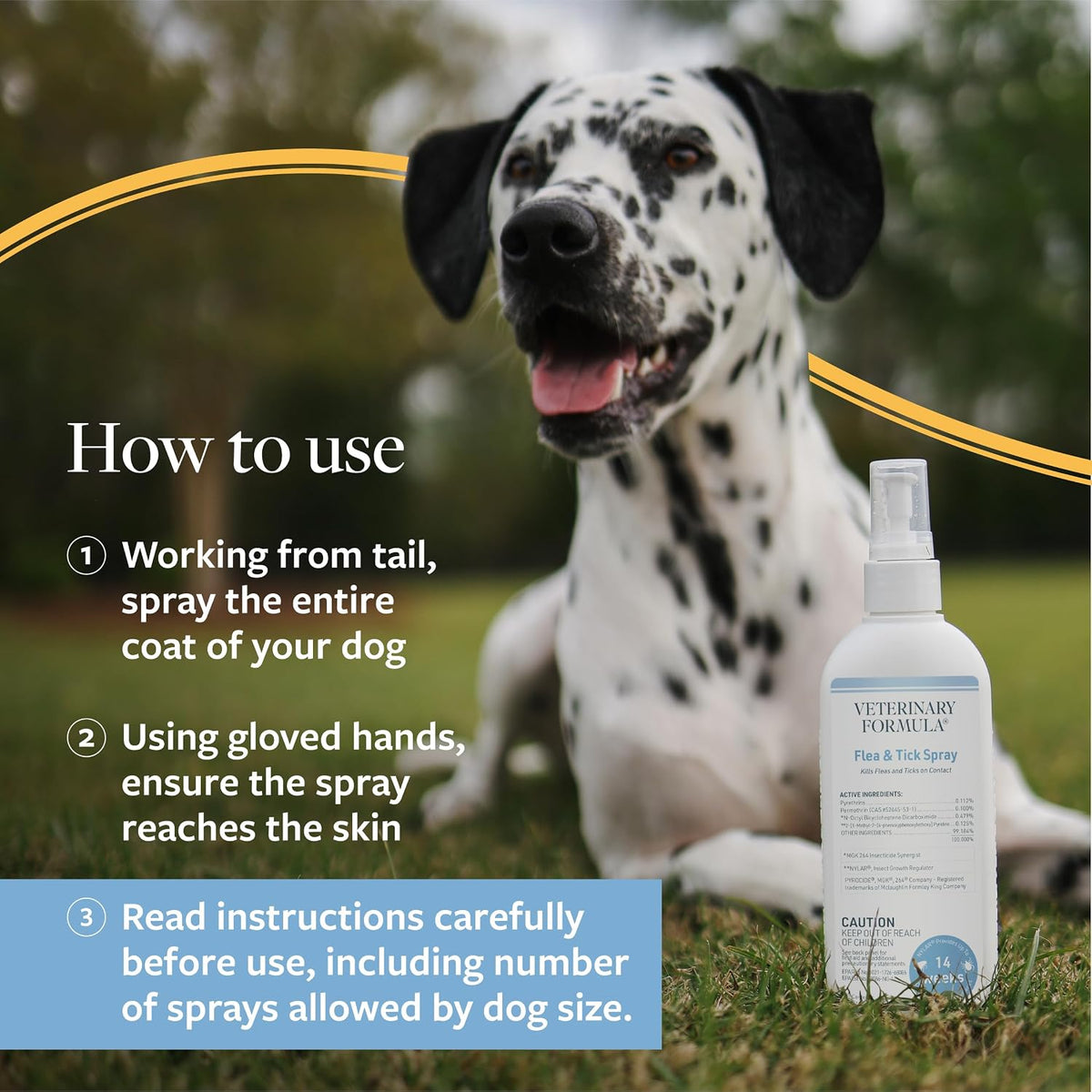 Flea and Tick Shampoo for Dogs and Cats, 16 oz
