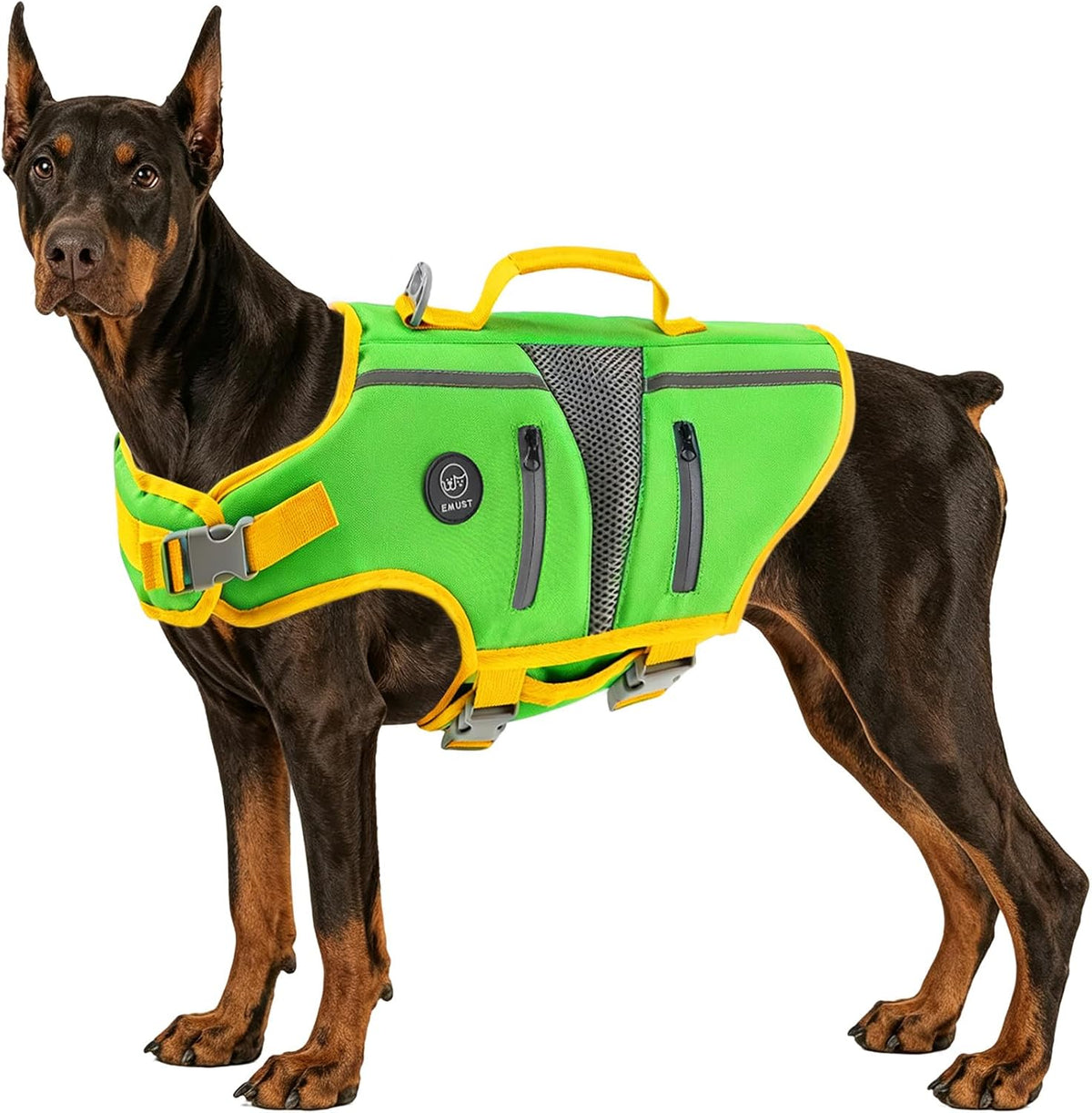 Dog Life Vest for Swimming, Dog Life Jacket with 2 Rescue Handles