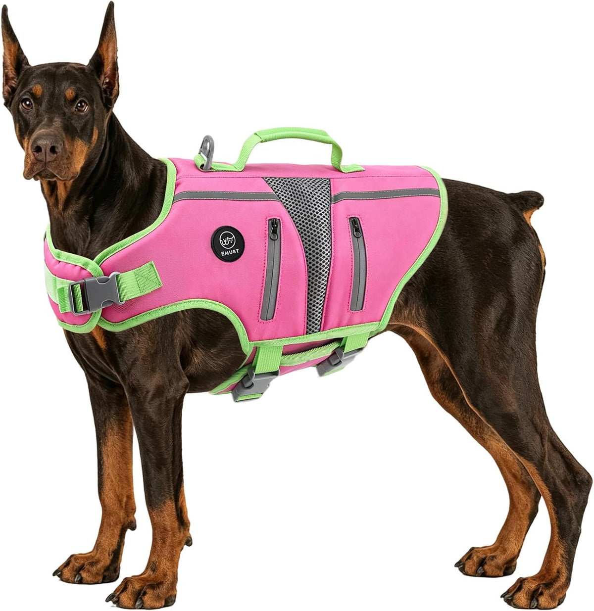 Dog Life Vest for Swimming, Dog Life Jacket with 2 Rescue Handles