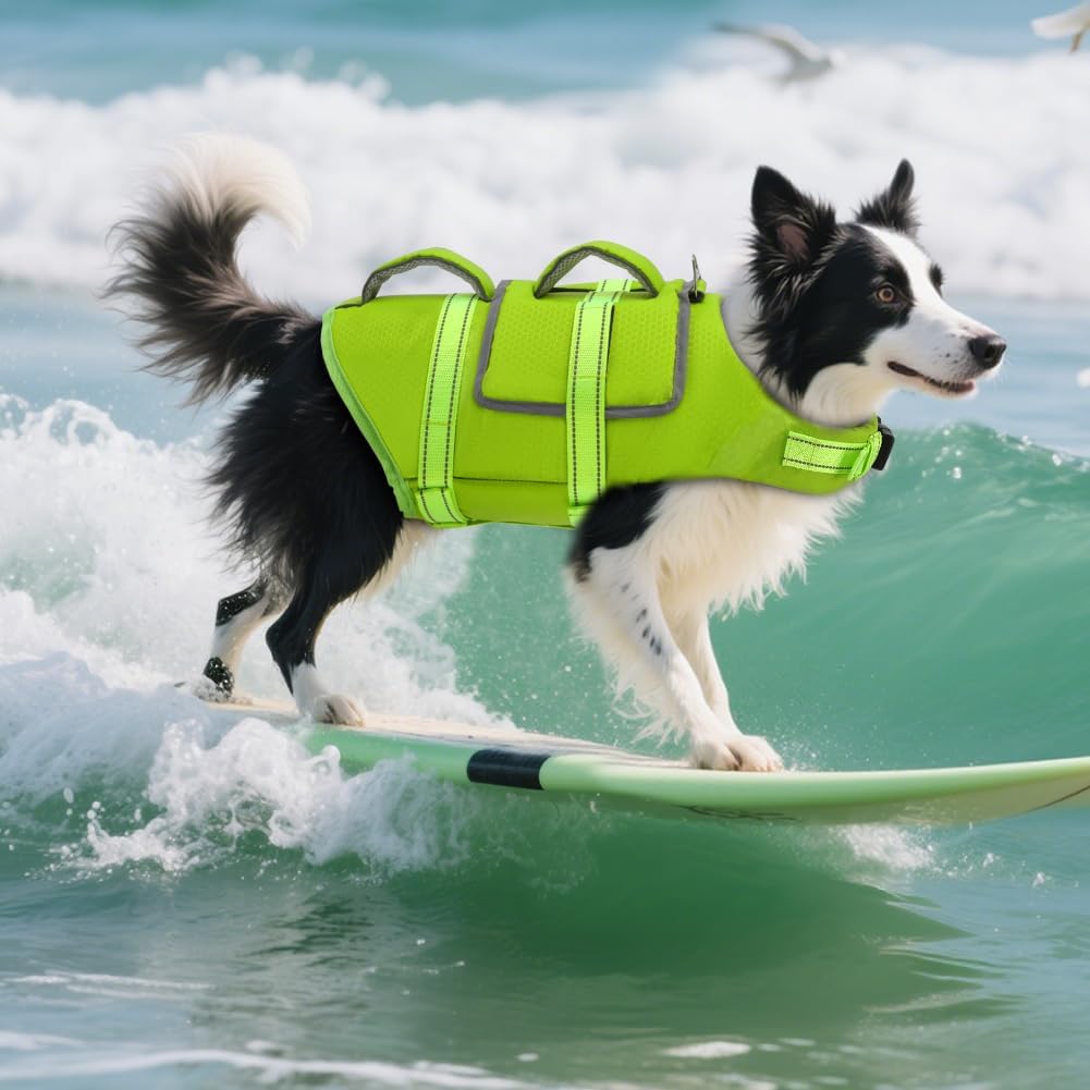 Dog Life Vest for Swimming, Dog Life Jacket with 2 Rescue Handles