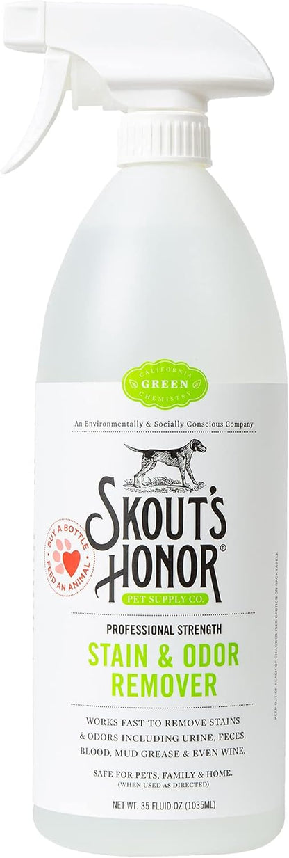 Pet Stain and Odor Remover, 35 oz