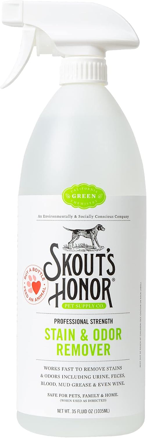 Pet Stain and Odor Remover, 35 oz