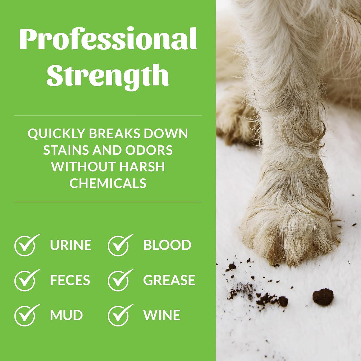 Pet Stain and Odor Remover, 35 oz