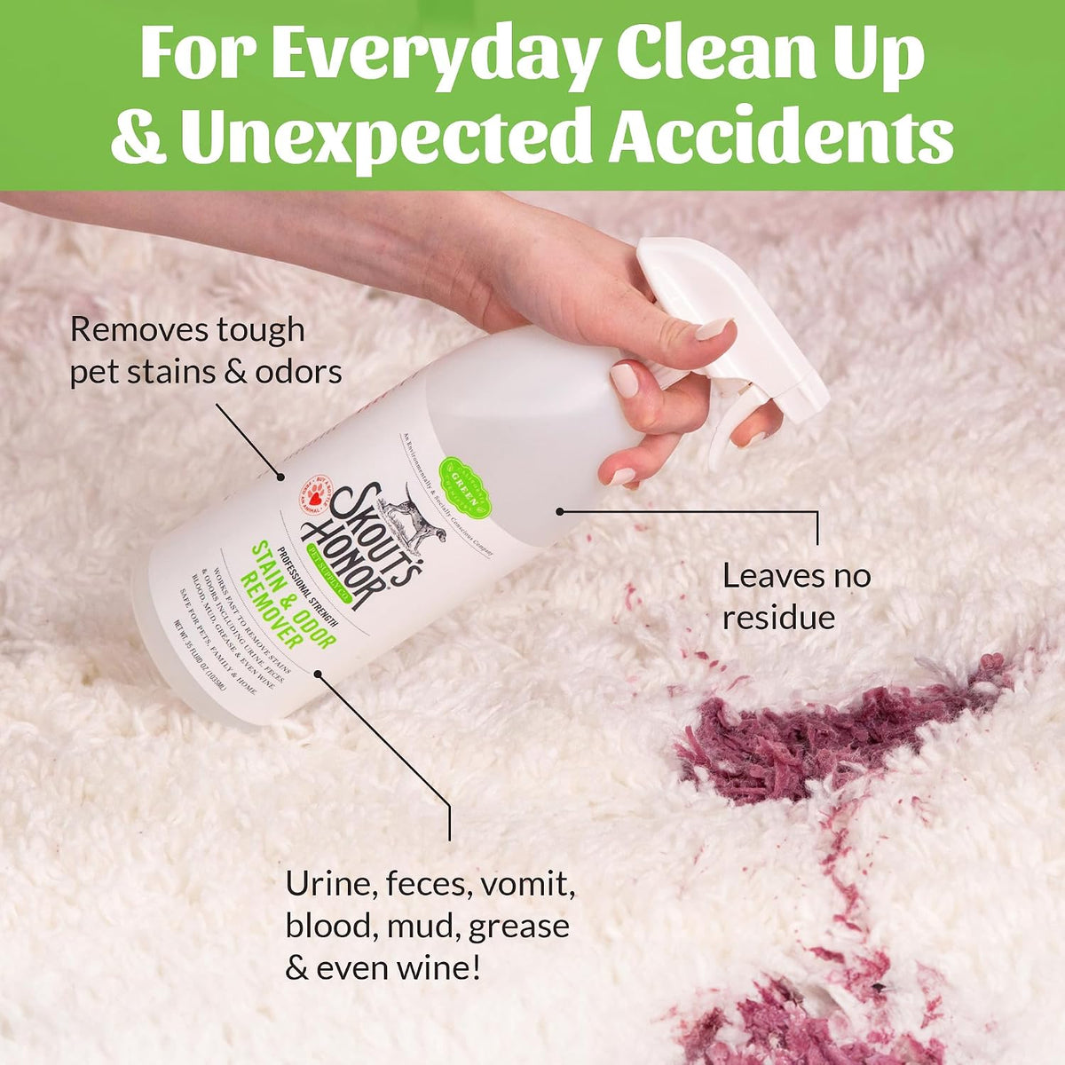 Pet Stain and Odor Remover, 35 oz