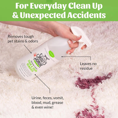 Pet Stain and Odor Remover, 35 oz
