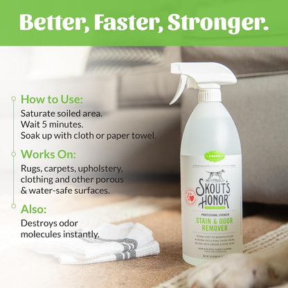 Pet Stain and Odor Remover, 35 oz