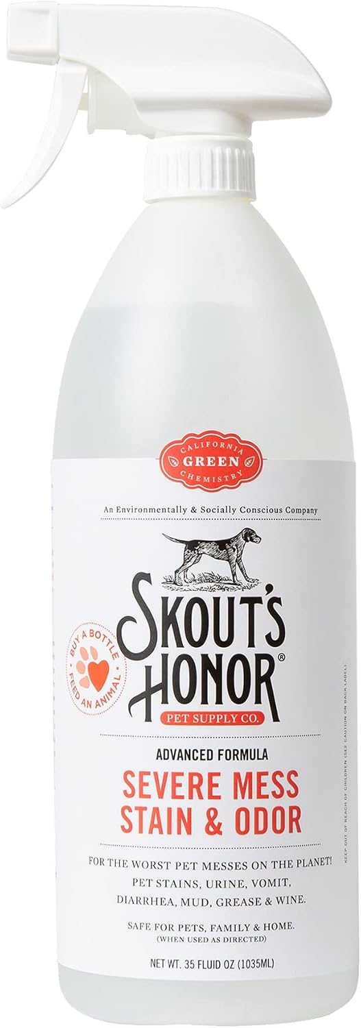 Pet Stain and Odor Remover, 35 oz